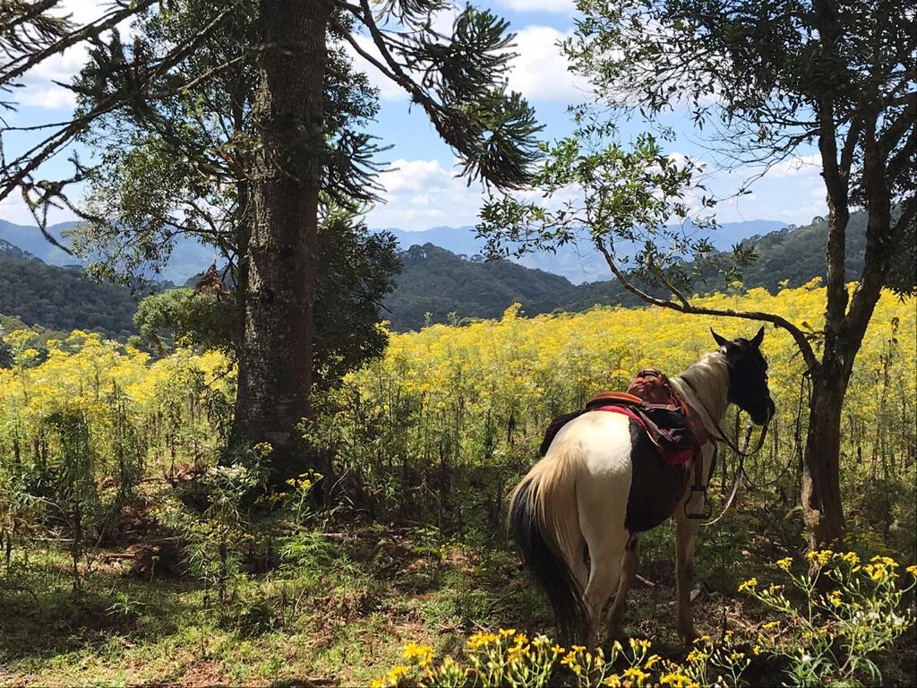 Um passeio, mais bonito que o outro