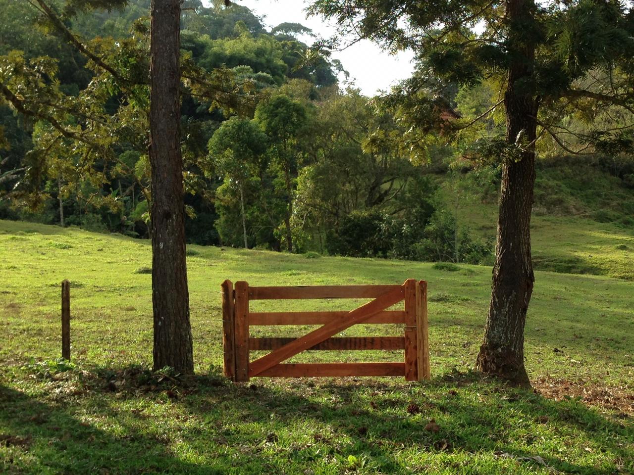 Acordar pela manhã, e já encontrar com esse visual. O dia começa bem melhor