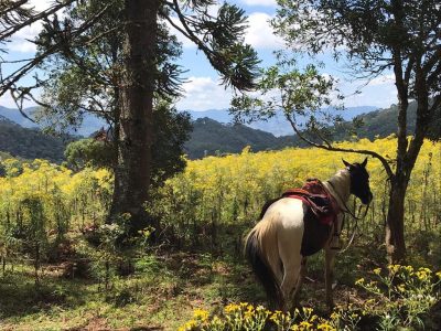 Um passeio, mais bonito que o outro