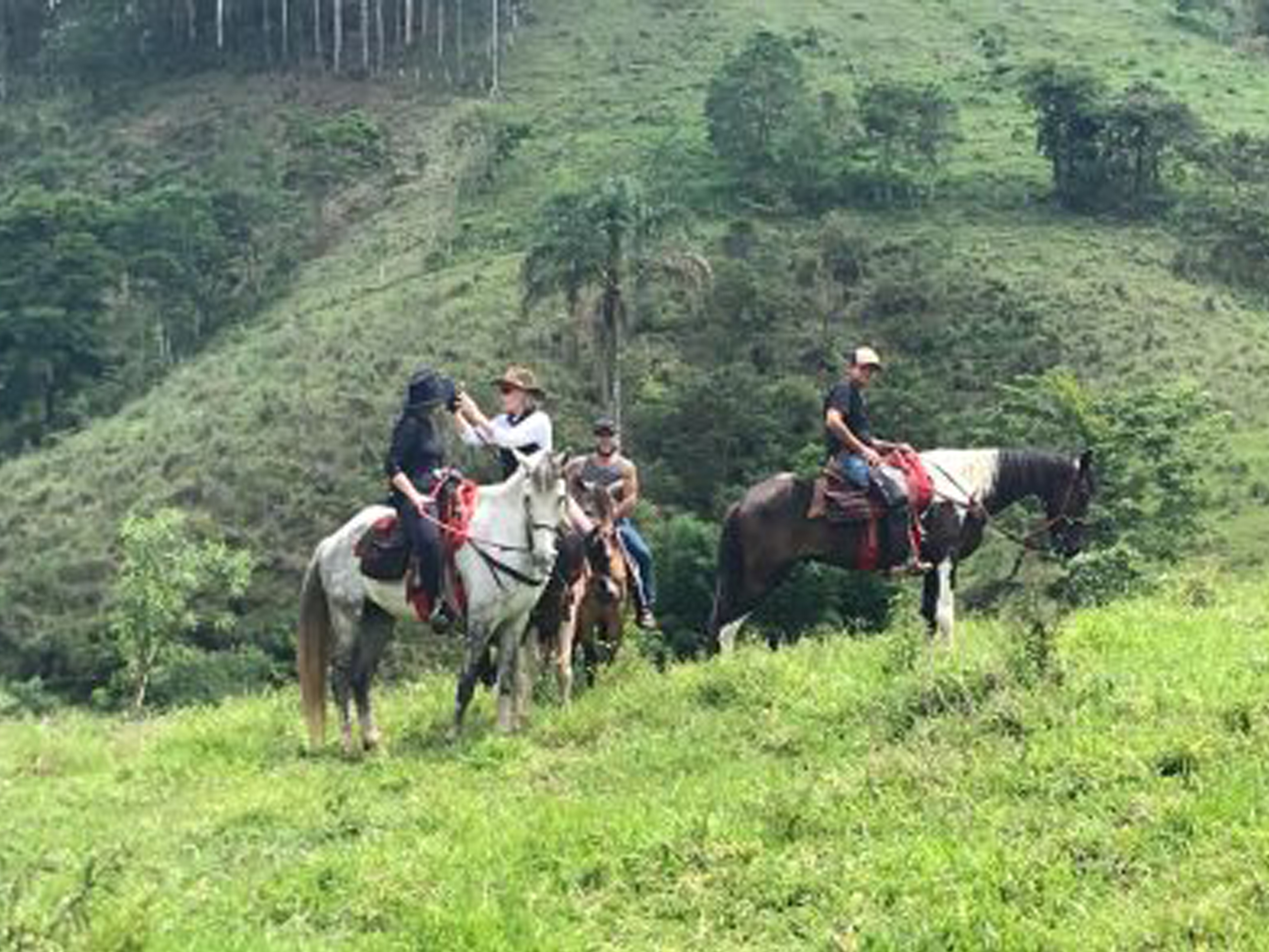 Experiências e Passeios